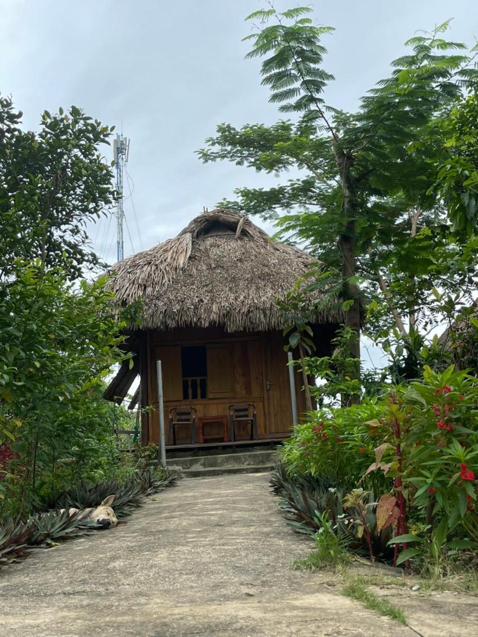 Cuc Phuong Bungalow Nho Quan Exterior photo