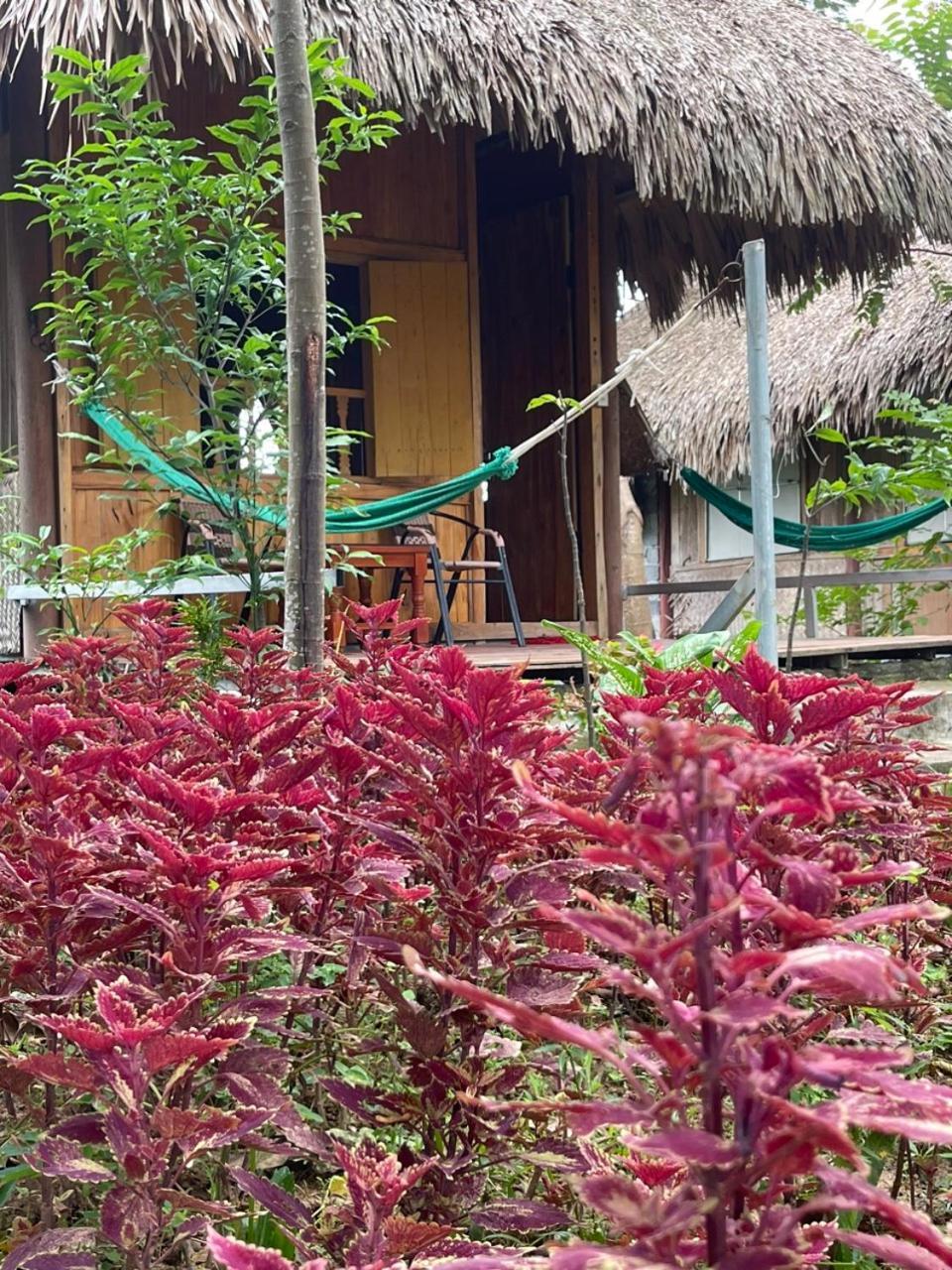Cuc Phuong Bungalow Nho Quan Exterior photo